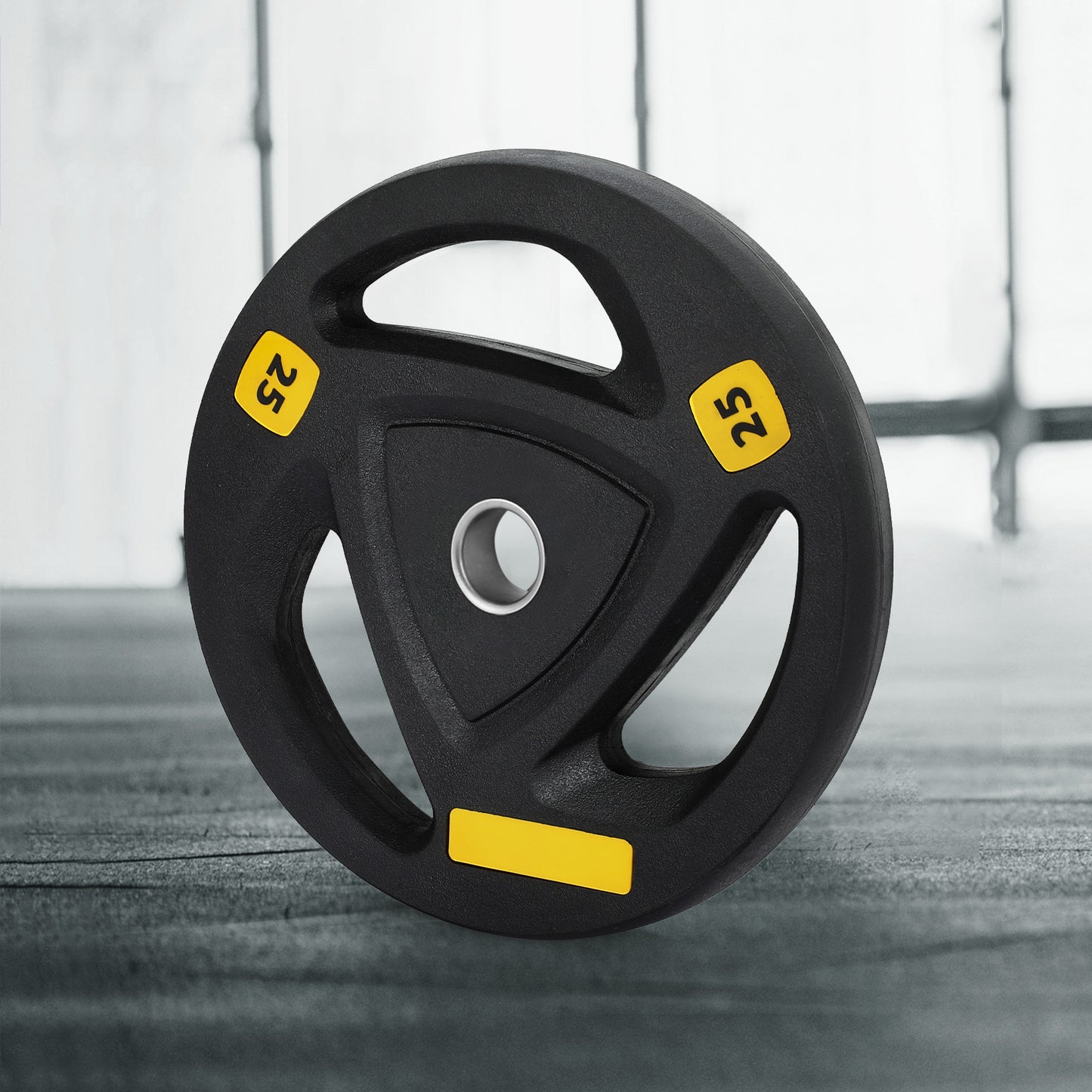 Everfit Weight Plates Standard 25kg Dumbbells Barbells Plate Weight Lifting Home Gym-6