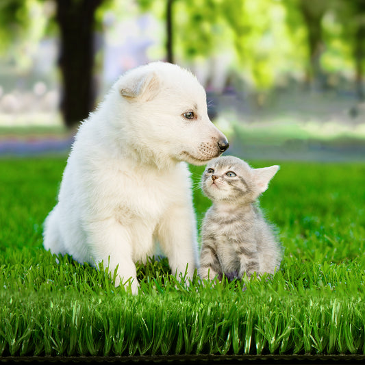 Prime Turf 2x10m Artificial Grass Synthetic Fake 20SQM Turf Lawn 17mm Tape-0