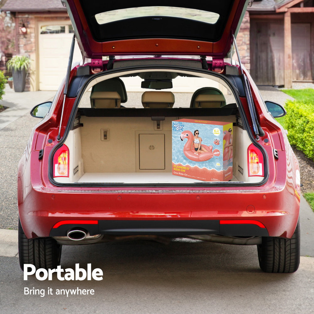 Bestway Flamingo Float Rider Inflatable Ride On Floating Pool Lounger 148x127CM-5