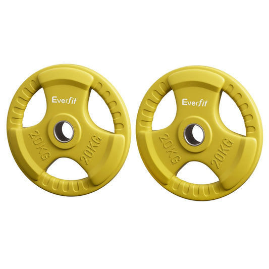 Everfit Weight Plates Standard 20kgx2 Dumbbell Barbell Plate Weight Lifting Home Gym Yellow-0