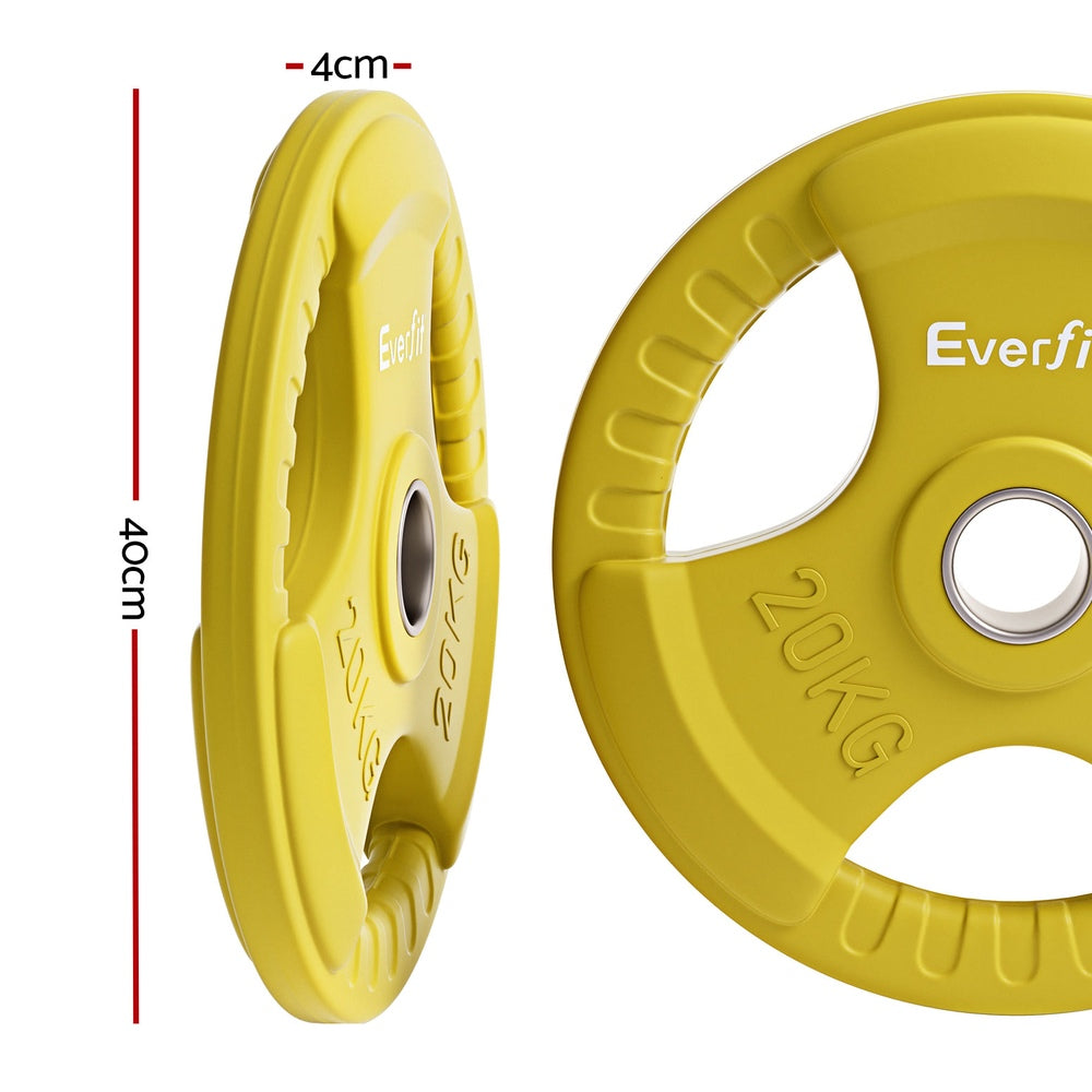 Everfit Weight Plates Standard 20kgx2 Dumbbell Barbell Plate Weight Lifting Home Gym Yellow-1