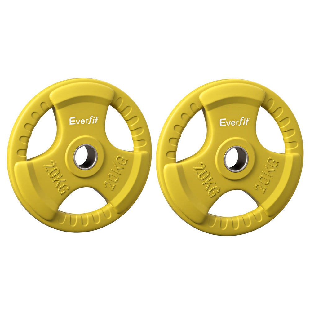 Everfit Weight Plates Standard 20kgx2 Dumbbell Barbell Plate Weight Lifting Home Gym Yellow-2