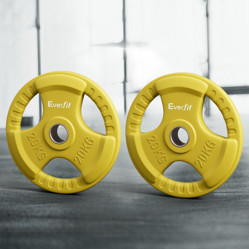 Everfit Weight Plates Standard 20kgx2 Dumbbell Barbell Plate Weight Lifting Home Gym Yellow-6