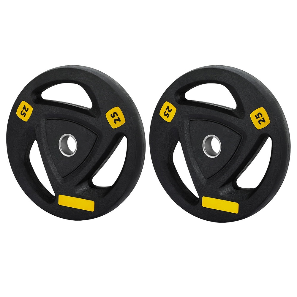 Everfit Weight Plates Standard 25kgx2 Dumbbells Barbells Plate Weight Lifting Home Gym-0