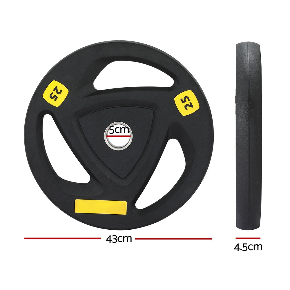 Everfit Weight Plates Standard 25kgx2 Dumbbells Barbells Plate Weight Lifting Home Gym-1