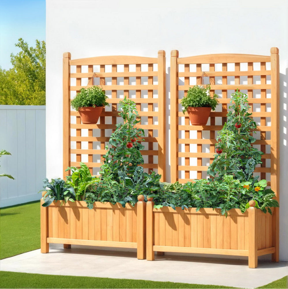 Green Fingers 2X Garden Bed Wooden 64x35x115cm Planter Raised Box Container Trellis-6
