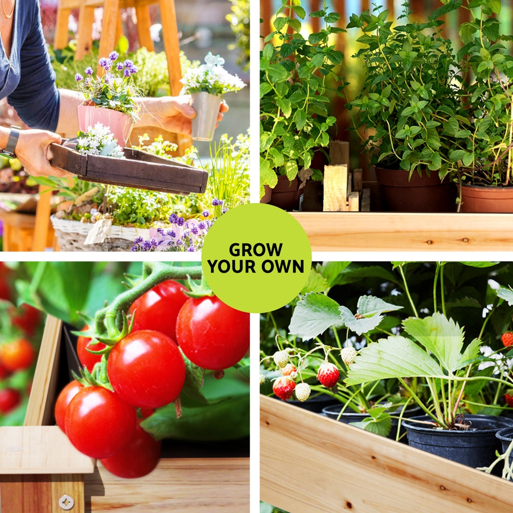 Green Fingers Garden Bed Elevated 120x60x80cm Wooden Planter Box Raised Container-3