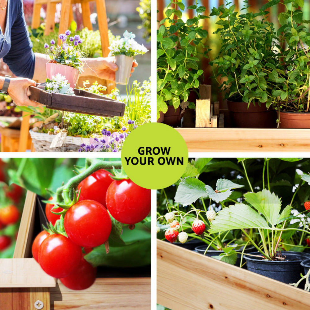 Green Fingers Raised Garden Bed 2x Elevated 120x60x80cm Wooden Planter Box Container-3