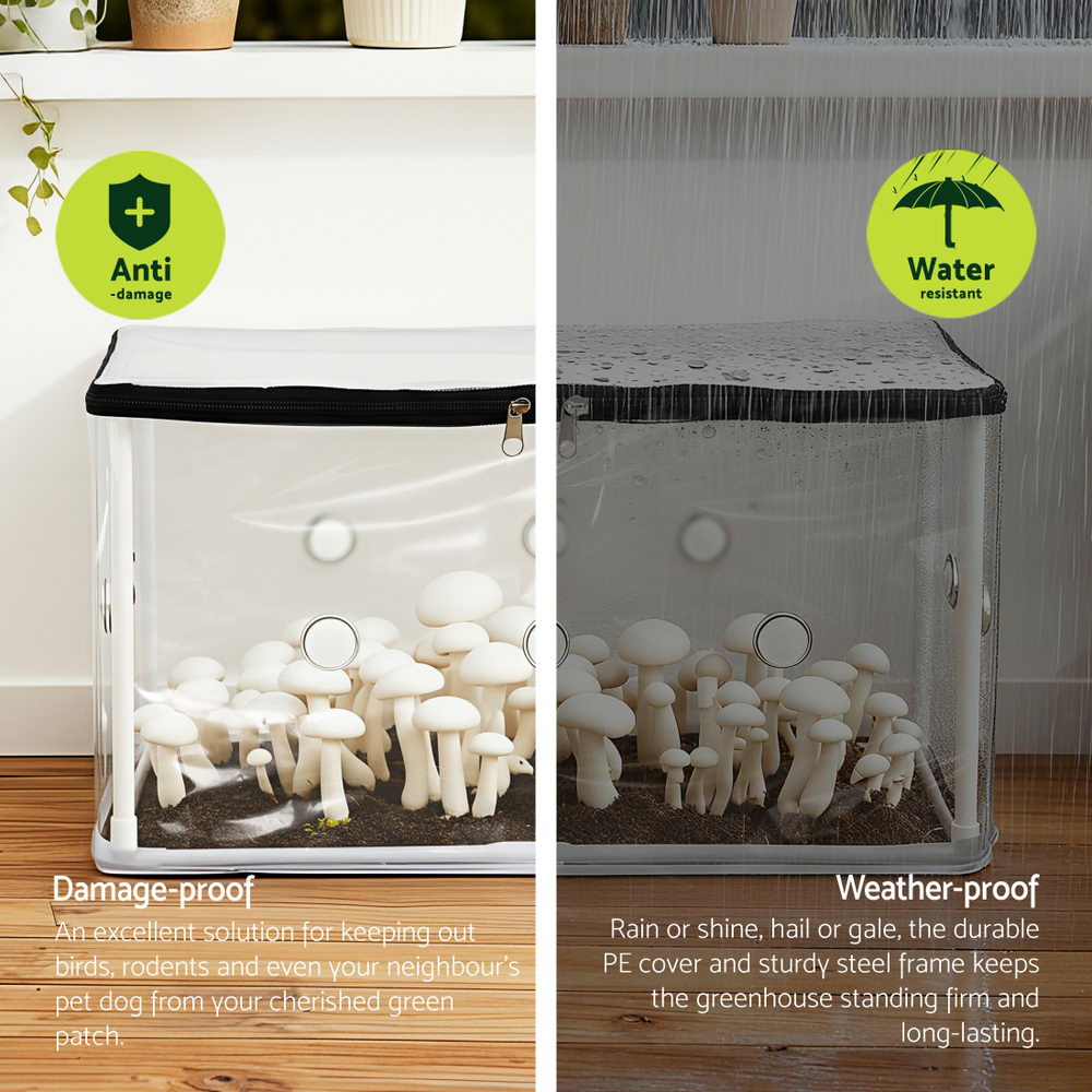 Green Fingers Mini Greenhouse 50x25x25cm PVC Cover for Mushrooms Succulents-3