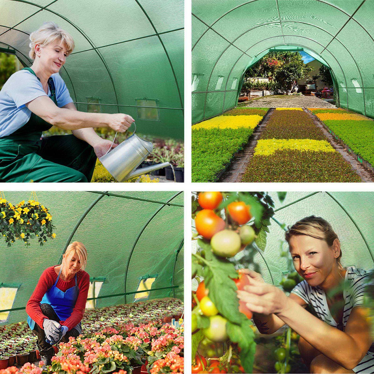 Green Fingers Greenhouse 6x3x2M Walk in Green House Tunnel Plant Garden Shed Dome-6