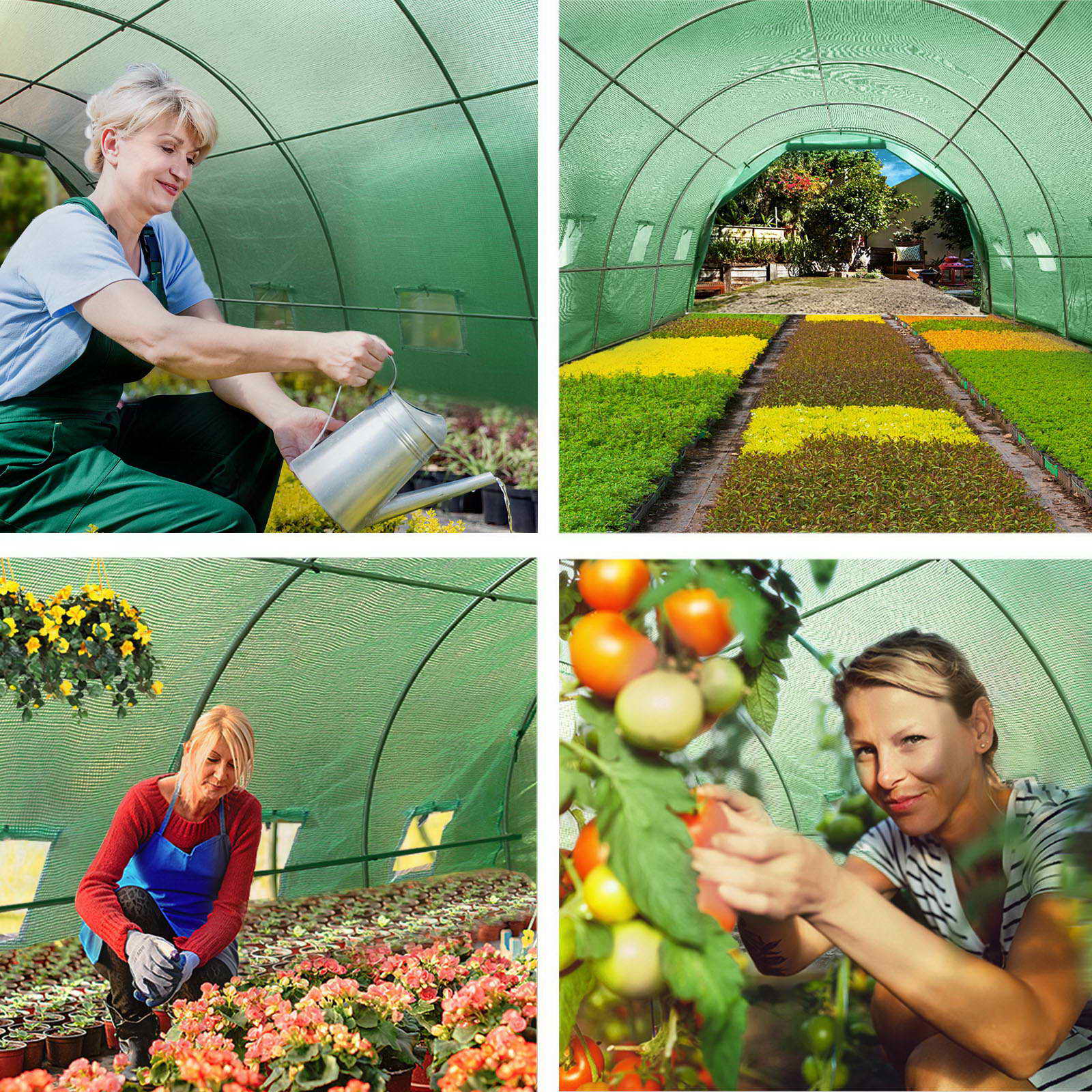 Green Fingers Greenhouse 6x3x2M Walk in Green House Tunnel Plant Garden Shed Dome-6