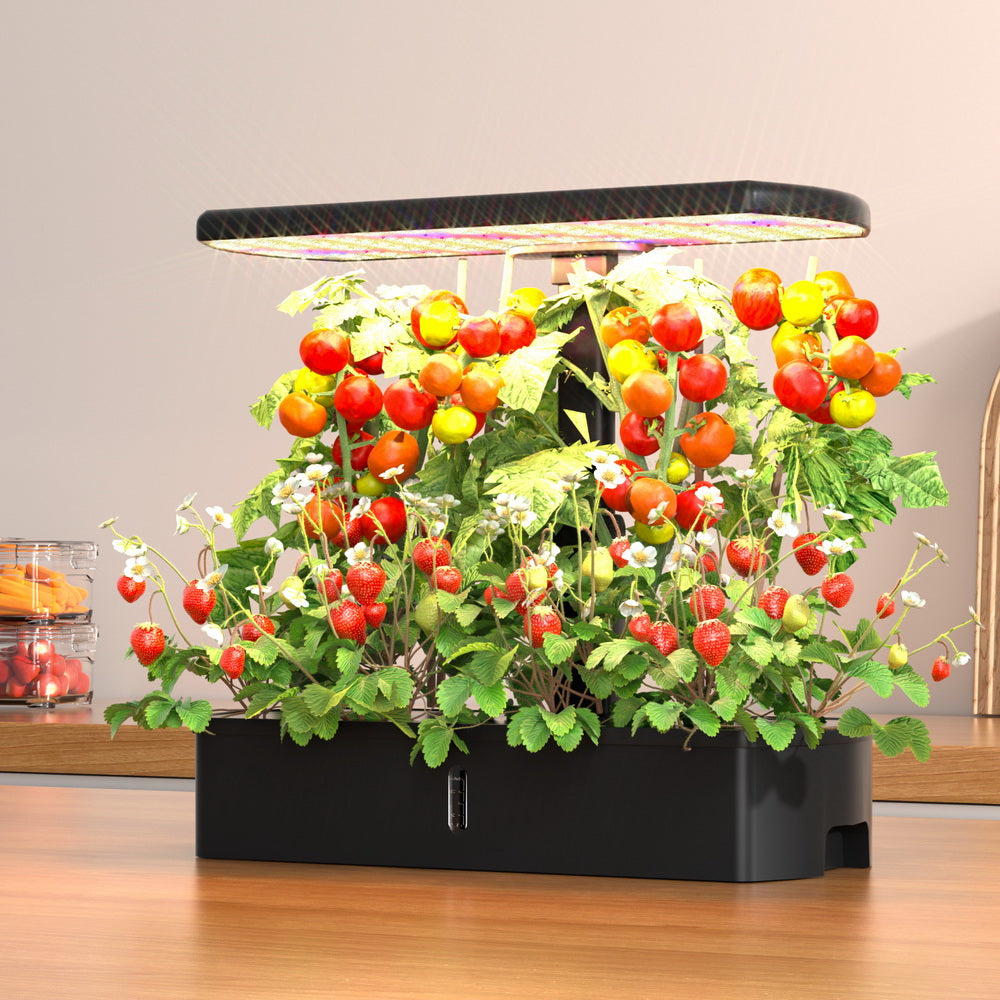 Green Fingers Hydroponics Growing System with LED lights-4