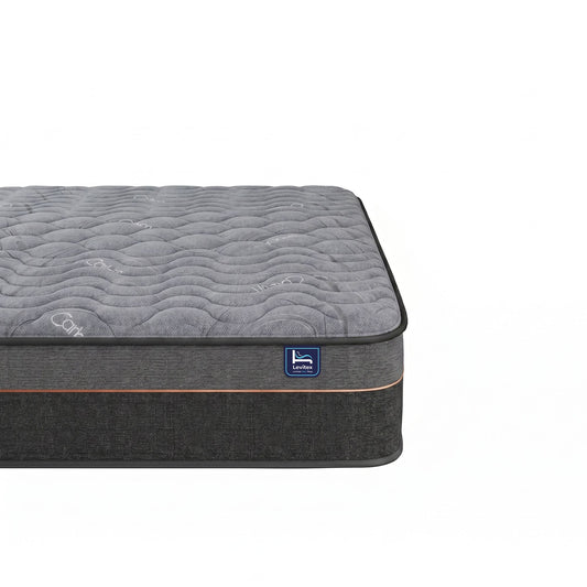 Levitex 25 cm Hybrid Pocket Spring Mattress Firm with 4cm Egg Crate Foam for Deep Sleep Bamboo Charcoal Fabric Double