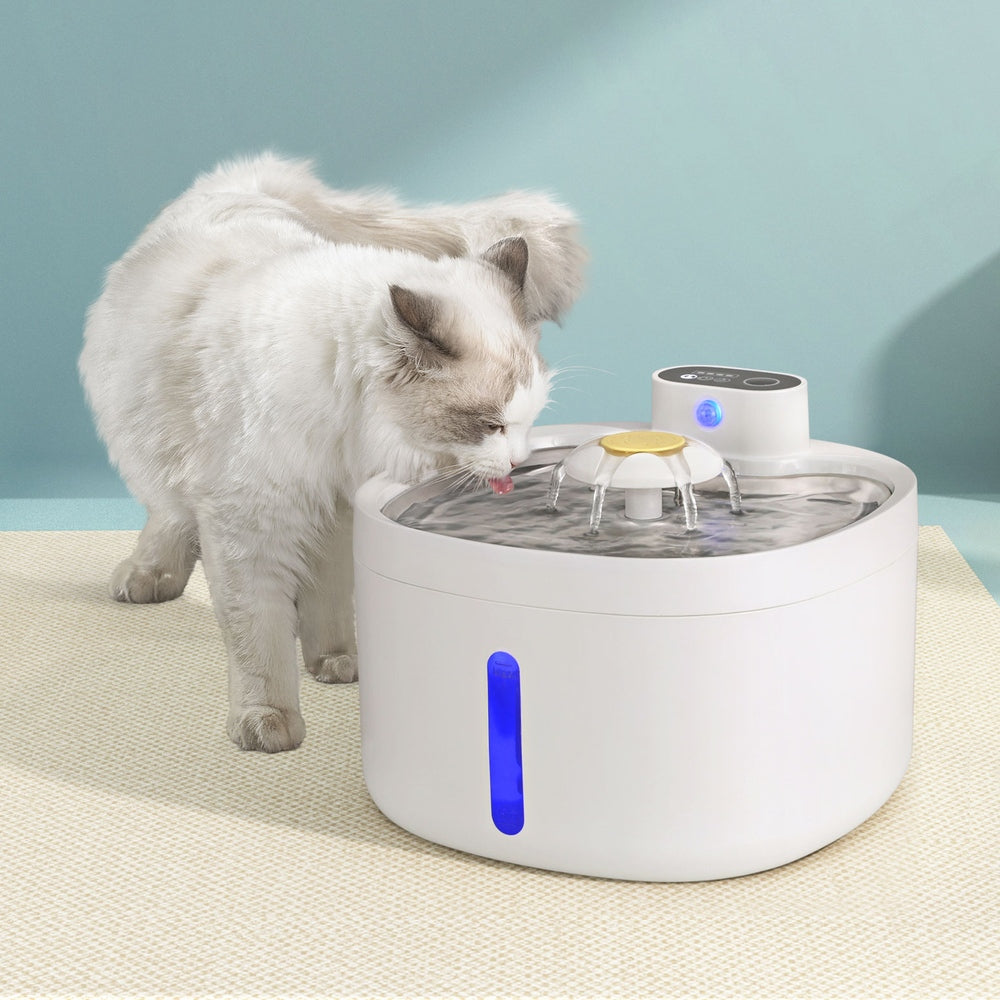 i.Pet Pet Water Fountain Feeder Dispenser Filter Dog Cat Drinking Automatic 2.6L-6