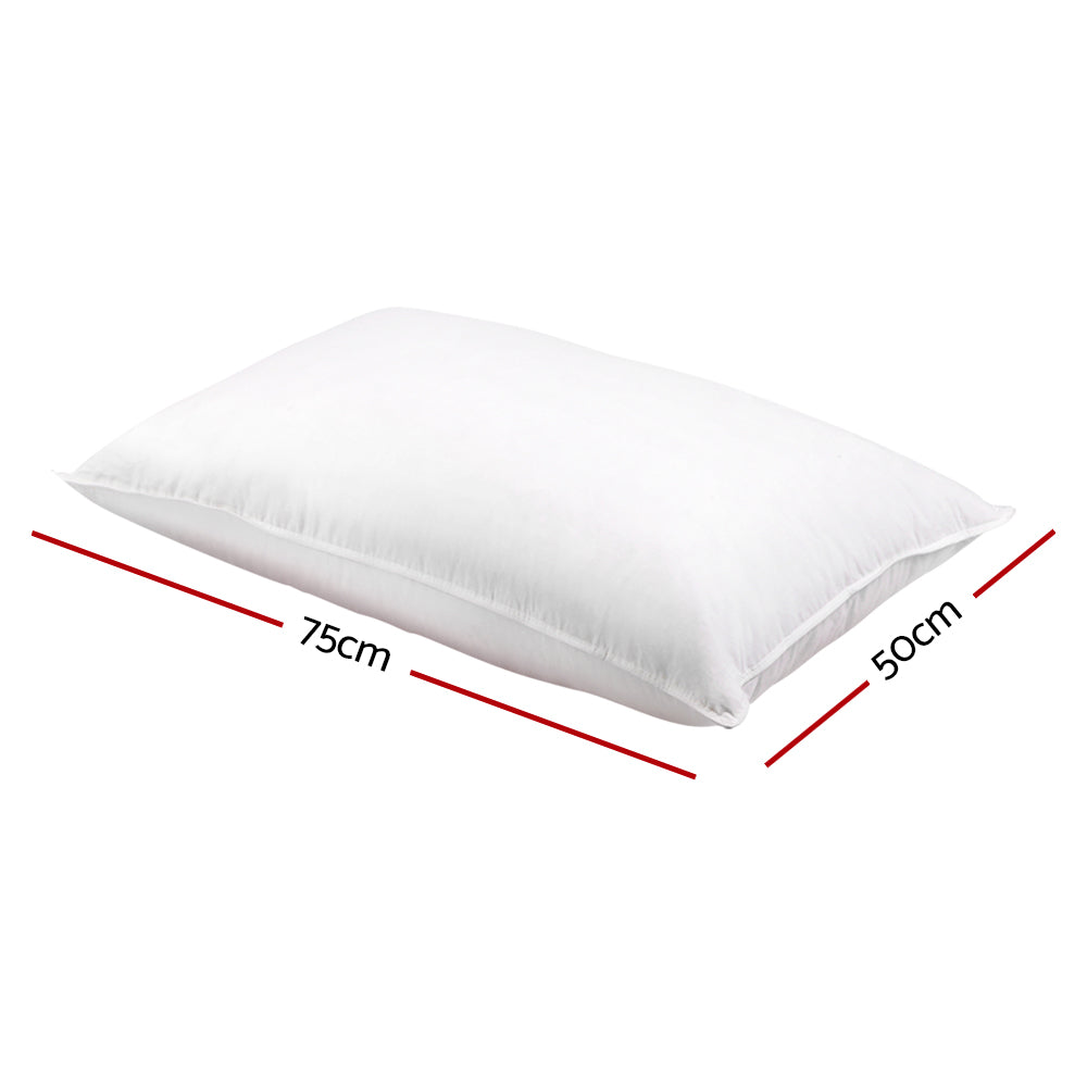 Giselle Bedding Duck Feather Down Pillow Twin Pack-1